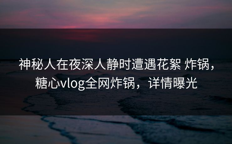 神秘人在夜深人静时遭遇花絮 炸锅，糖心vlog全网炸锅，详情曝光